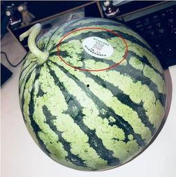 吴川网红吃瓜,揭秘网络红人的真实一面